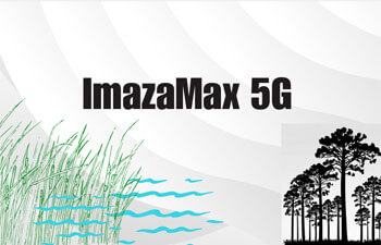 Imazamax 5g Button