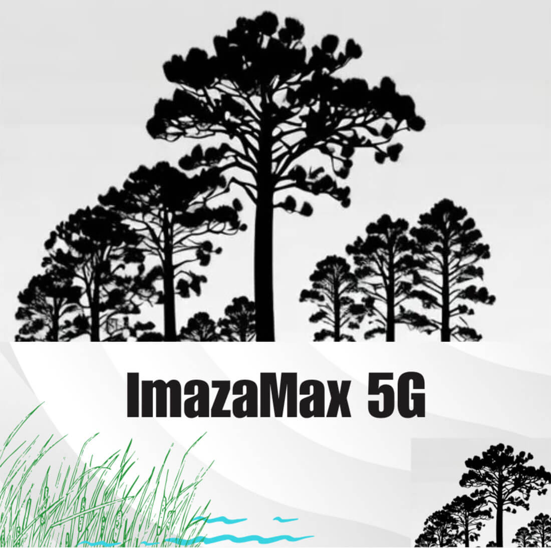 Imazamax5g Place Holder