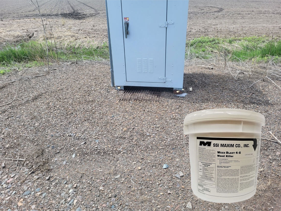 Weedblast 4g Place Holder