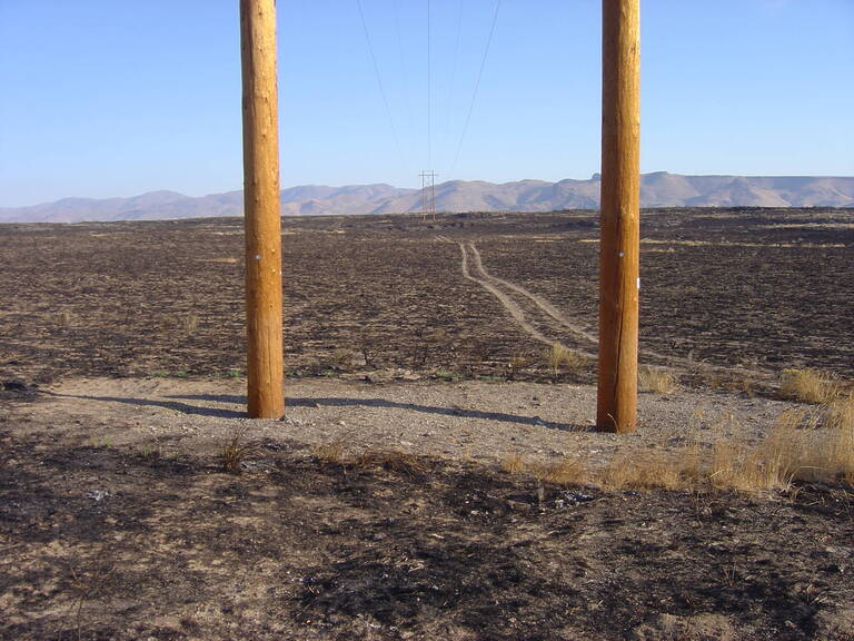 Picabo Fire 9 2008 008