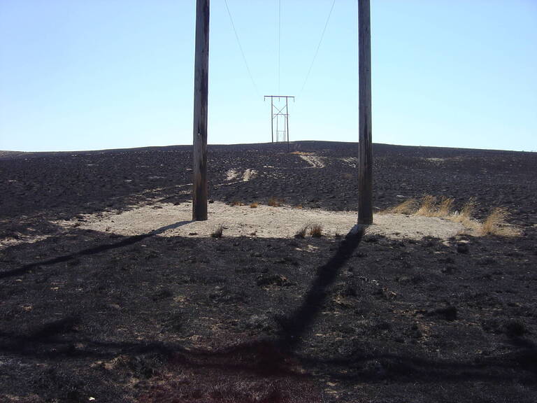 Treated After Fire Idaho
